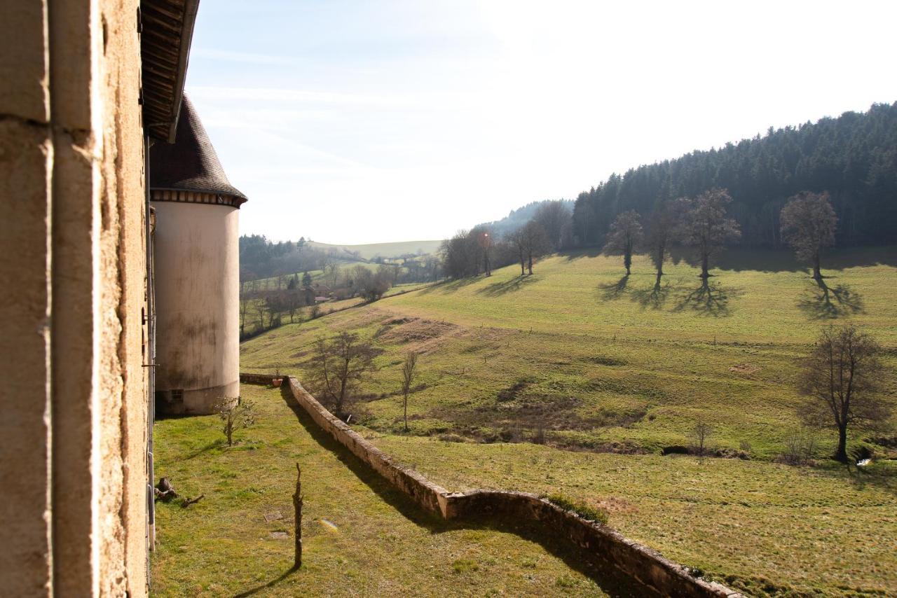 Chateau De Pramenoux Lamure-sur-Azergues Kültér fotó